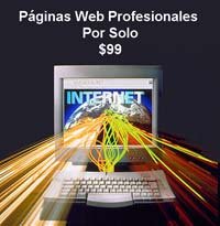 Paginas Profesionales De Web